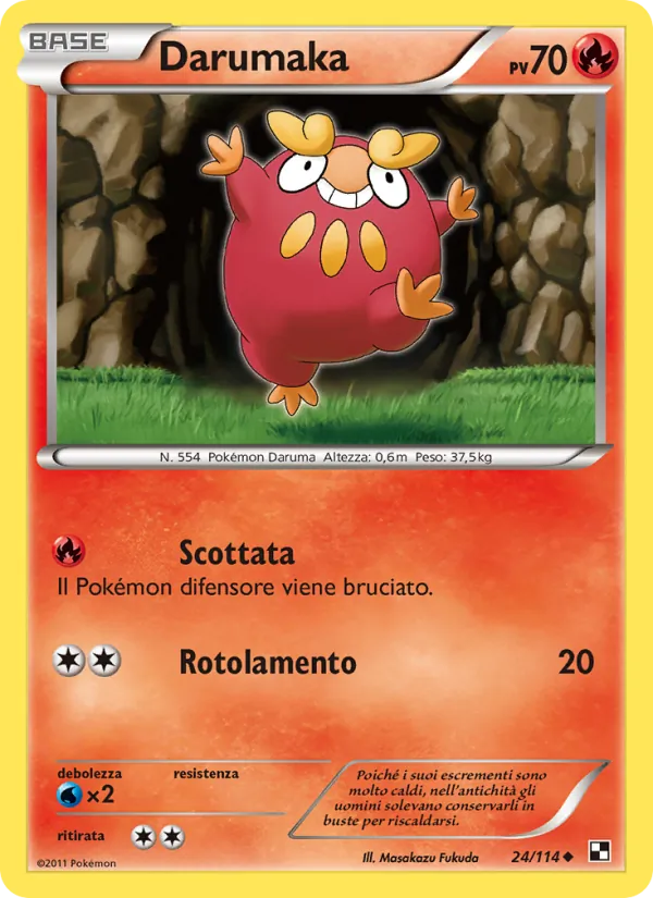 Darumaka