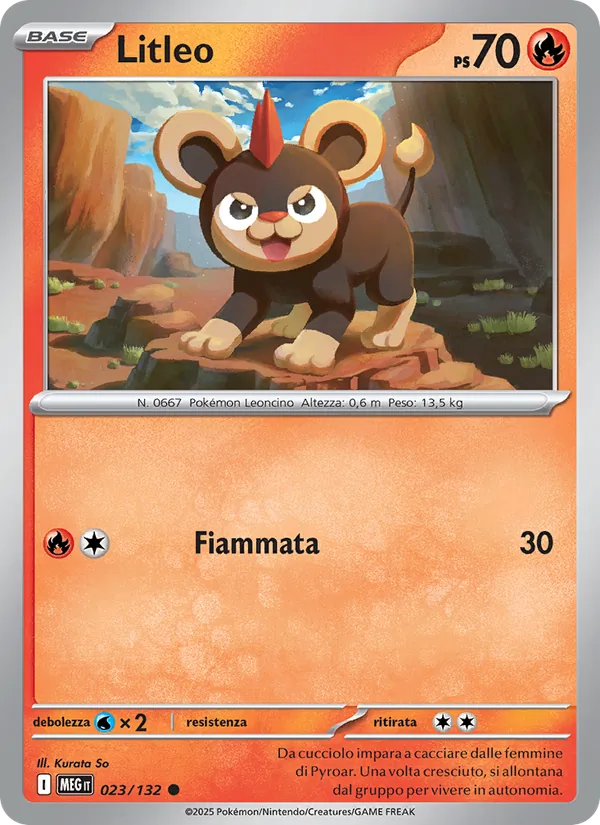 Litleo