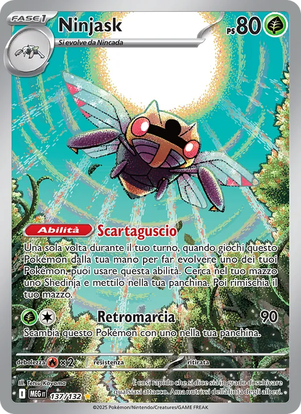 Ninjask
