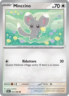 Minccino