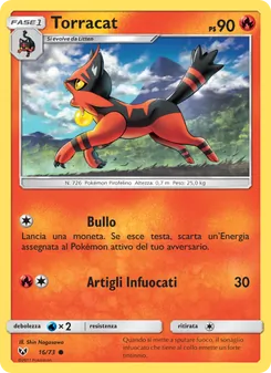 Torracat