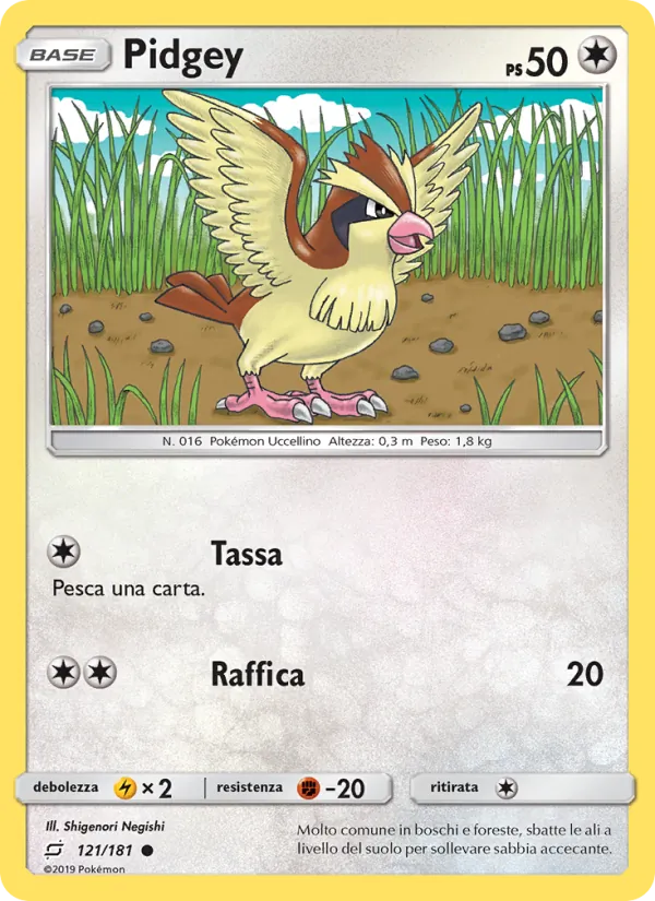 Pidgey