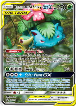 Venusaur & Snivy GX