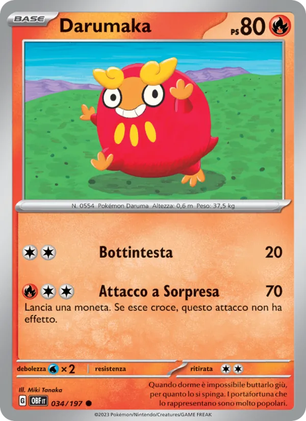 Darumaka