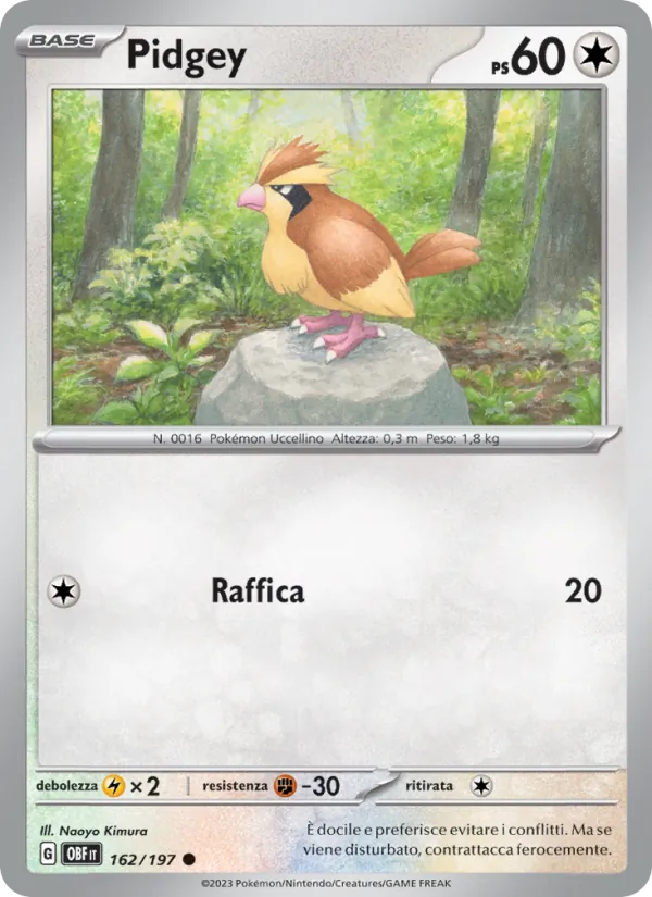Pidgey