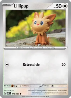 Lillipup