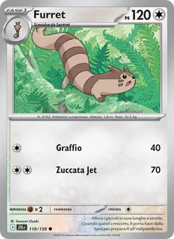 Furret