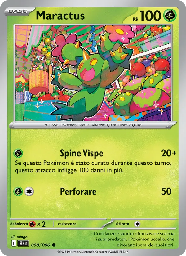 Maractus