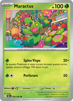 Maractus