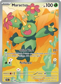 Maractus