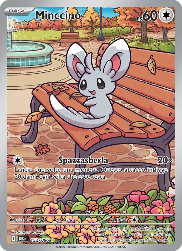 Minccino