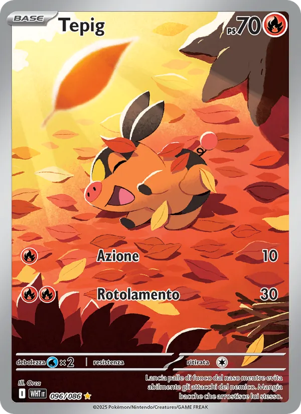 Tepig