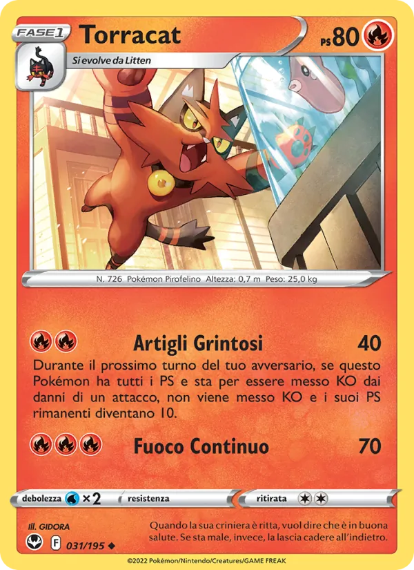 Torracat