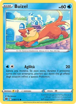 Buizel