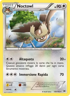 Noctowl