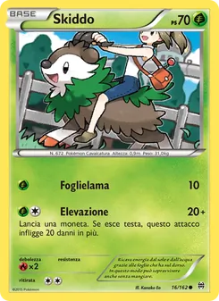 Skiddo